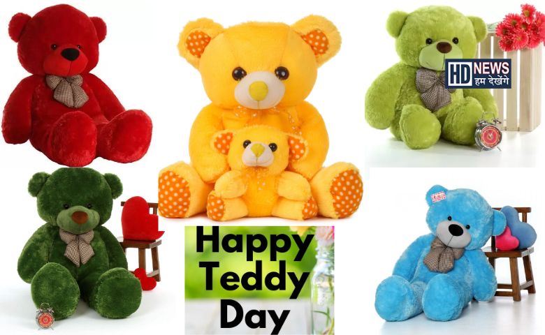 આજે Teddy Day: કયા રંગનું ટેડી ગિફ્ટ કરશો? જાણો બીજી પણ વાતો hum dekhenge news