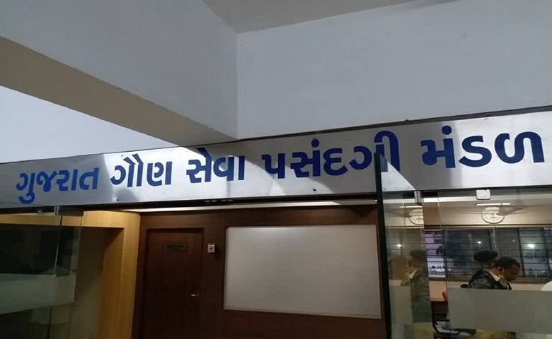 ઉમેદવારો - Humdekhengenews