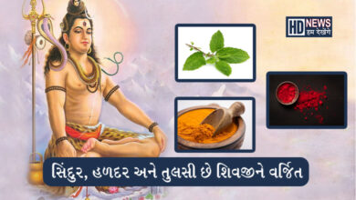 ભગવાન શિવને કેમ નથી ચઢાવાતા સિંદુર, હળદર, તુલસી અને... hum dekhenge news