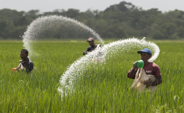 world's first organic state