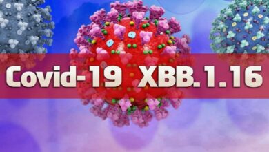 Corona virus variant ‘XBB 1.16’