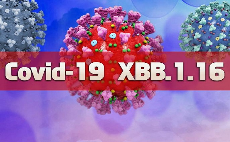 Corona virus variant ‘XBB 1.16’