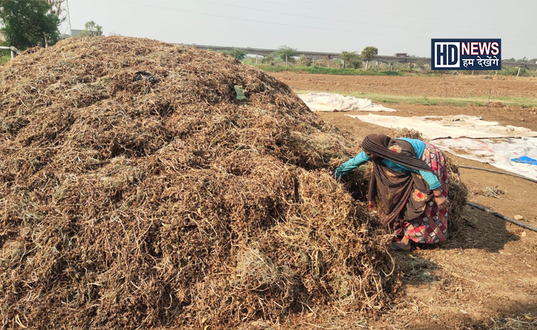 કમોસમી વરસાદ-humdekhengenews