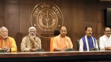 Yogi cabinet