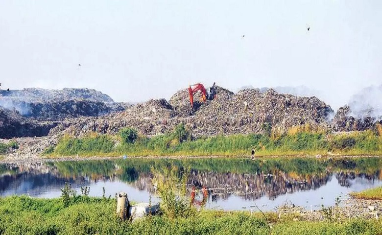 ડાઈમંડ - Humdekhengenews