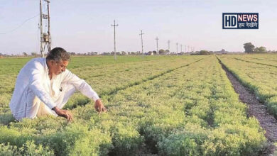 ખેડૂતોને તાલીમ - Humdekhengenews