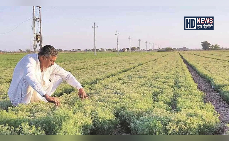 ખેડૂતોને તાલીમ - Humdekhengenews