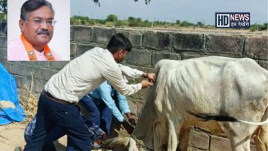 પશુઓમાં રસીકરણ -humdekhengenews