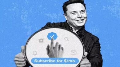 Elon Musk on Twitter Blue Tick