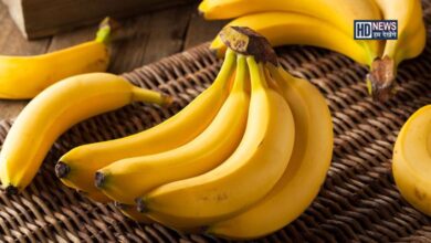 ઠંડીમાં કેળા ખાવા જોઈએ કે નહીં? 3 જરૂરી વાતો જાણી લો hum dekhenge news