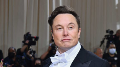 Elon Musk File Image