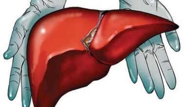 world liver day - humdekhengenews