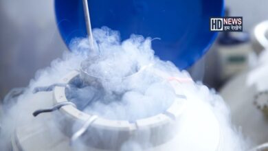 શું છે Egg Freezing? શા માટે આ ફર્ટિલિટી સોલ્યુશન થયુ છે લોકપ્રિય? hum dekhenge news