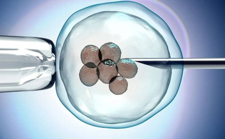 શું છે Egg Freezing? શા માટે આ ફર્ટિલિટી સોલ્યુશન થયુ છે લોકપ્રિય? hum dekhenge news