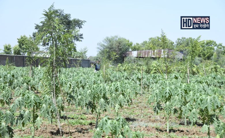 અમદાવાદ ખેડૂત-humdekhengenews