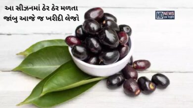 હાઇ બીપી અને ડાયાબિટીશ ભગાડશે આ સીઝનનું ફળ જાંબુ Hum dekhenge news