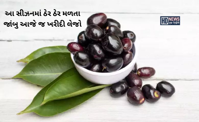 હાઇ બીપી અને ડાયાબિટીશ ભગાડશે આ સીઝનનું ફળ જાંબુ Hum dekhenge news