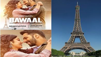 Bawaal Film premiere at Eiffel Tower