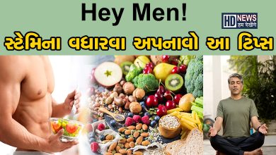 આ આદતોથી વૃદ્ધાવસ્થામાં પણ ટકી શકશે પુરુષોમાં સ્ટેમિના hum dekhenge news