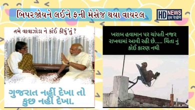 બિપોરજોય વાવાઝોડુઃ સોશિયલ મીડિયામાં ફની મેસેજની વણઝાર hum dekhenge news