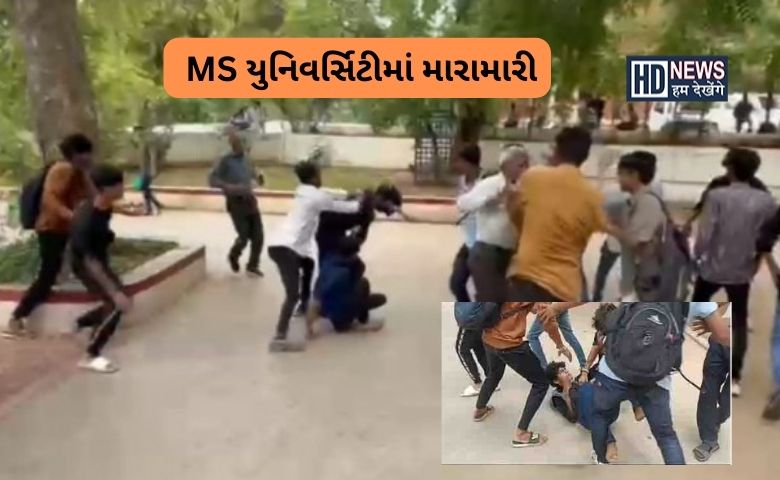 MS યુ. નિ મારામારી-humdekhengenews