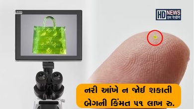 સૌથી નાની બેગ-humdekhengenews