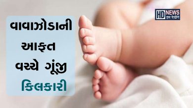 આફત વચ્ચે બાળકનો જન્મ-humdekhengenews