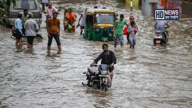 gujarat rain - Humdekhengenews