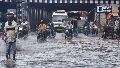 gujarat rain - Humdekhengenews