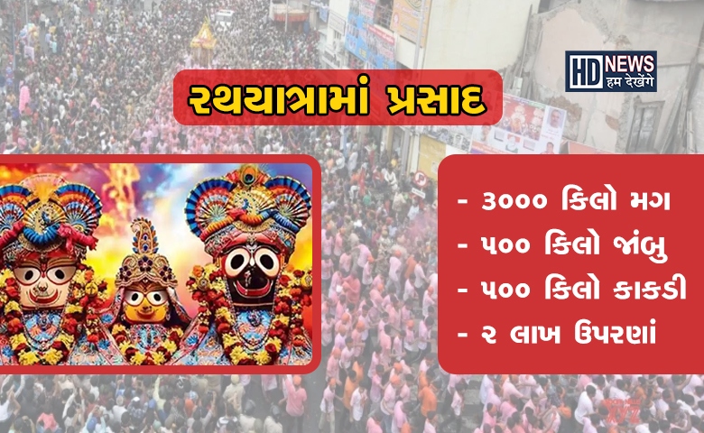 રથયાત્રાના આગલા દિવસની જાણો શું છે તૈયારીઓ? ભક્તોનું ઘોડાપુર ઉમટ્યુ hum dekhenge news