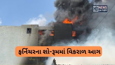 રાજકોટ આગ-humdekhengenews