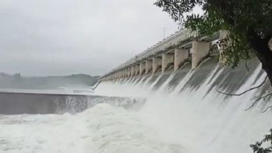 Bhavnagar Shetrunji dam