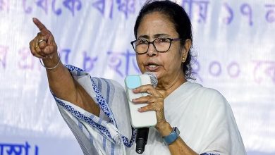 CM Mamata Banerjee