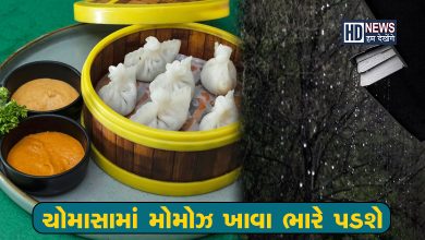 વરસાદની સીઝનમાં મોમોઝ ખાતા હો તો ચેતી જજોઃ ભોગવવા પડશે ભયંકર પરિણામો