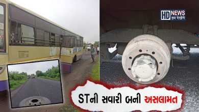 STની સવારી