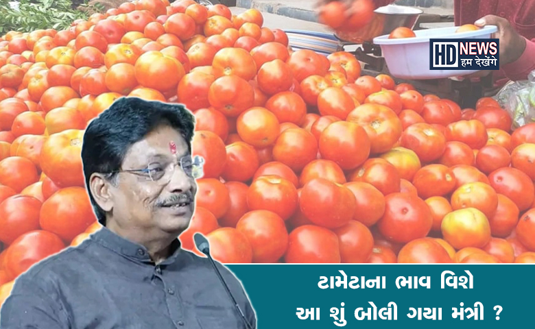 ટામેટા ભાવ-humdekhengenews