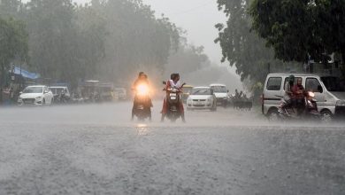 Gujarat rain fall