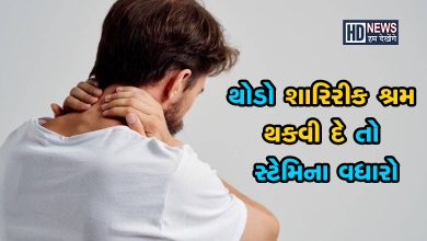 થોડી એક્સર્સાઇઝથી થાકી જતા હો તો ખાવ આ સ્ટેમિના વધારતા ફુડ hum dekhenge news