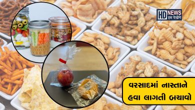 ચોમાસામાં ઘરમાં રાખેલા નાસ્તા ખરાબ થઇ જાય છે? તો તાજા રાખવા અપનાવો આ ટિપ્સ hum dekhenge news