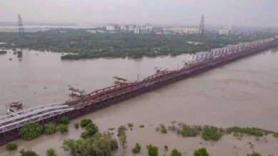 Yamuna water level