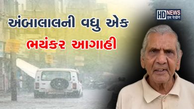 અંબાલાલ પટેલ આગાહી-humdekhengenews