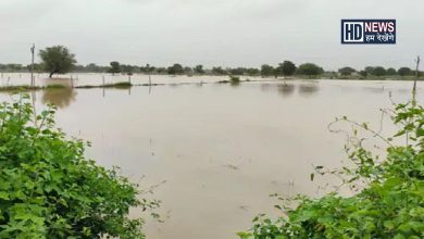 વિસ્તારમાં પાણી-humdekhengenews