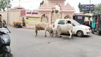 શિંગડા યુદ્ધ-humdekhengenews