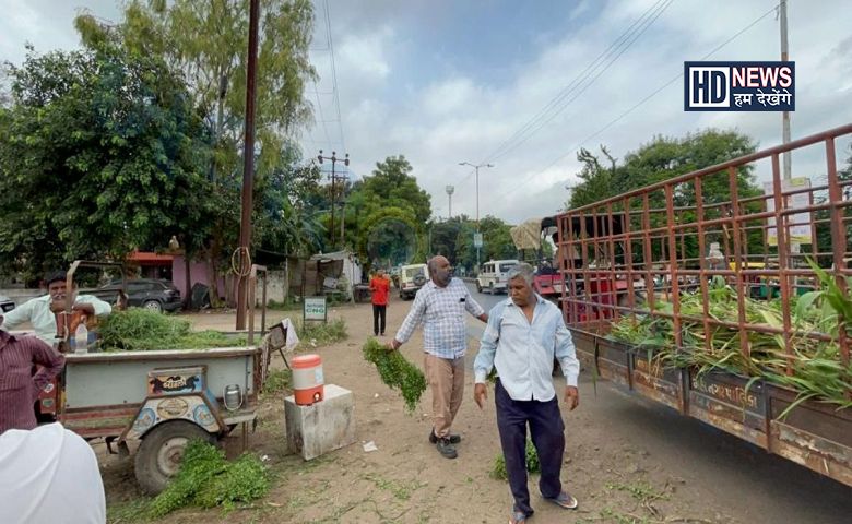 ઘાસનું થતું વેચાણ-humdekhengenews