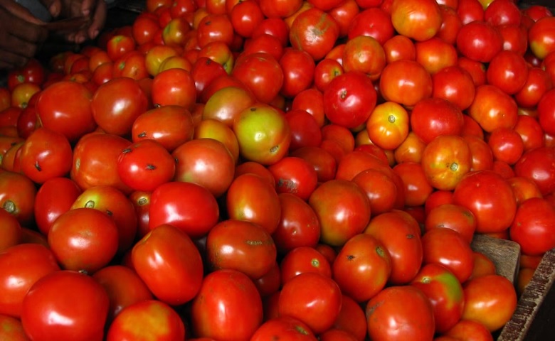 tomatoes price