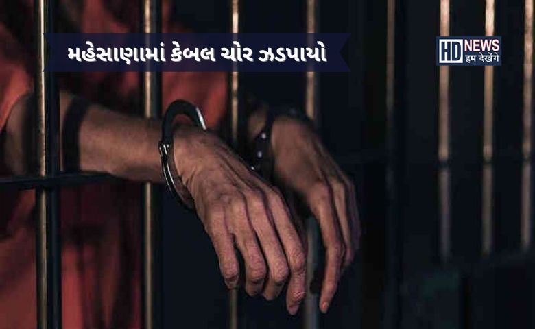 મહેસાણામાં ગ્રામપંચાયતના તેમજ ખેડૂતોના બોરના કેબલ ચોરી કરતો ચોર ઝડપાયો