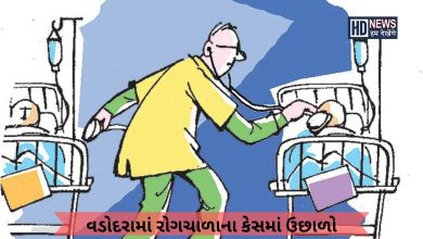 વડોદરામાં કોર્પોરેશનની કામગીરી સામે ઉઠ્યા સવાલ, રોગચાળાના કેસમાં ઉછાળો