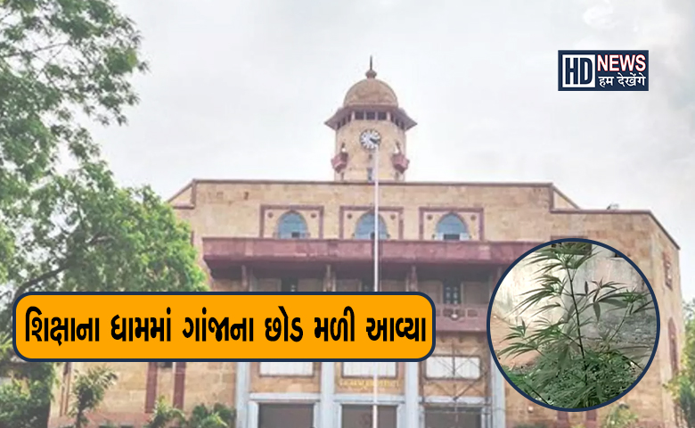 ગુજરાત યુનિવર્સિટી-HDNEWS