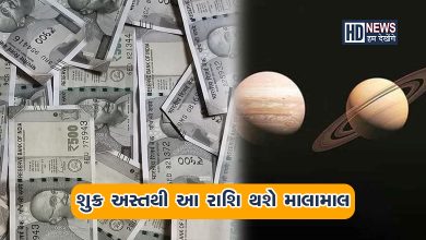 3 ઓગસ્ટે શુક્ર થશે અસ્તઃ આ રાશિના લોકોને થશે શુભ અસર hum dekhenge news