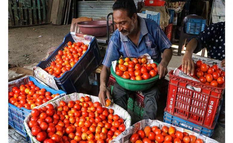 Tomatoes Price